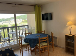Appartement Cabourg, 2 pièces, 4 personnes - FR-1-487-235